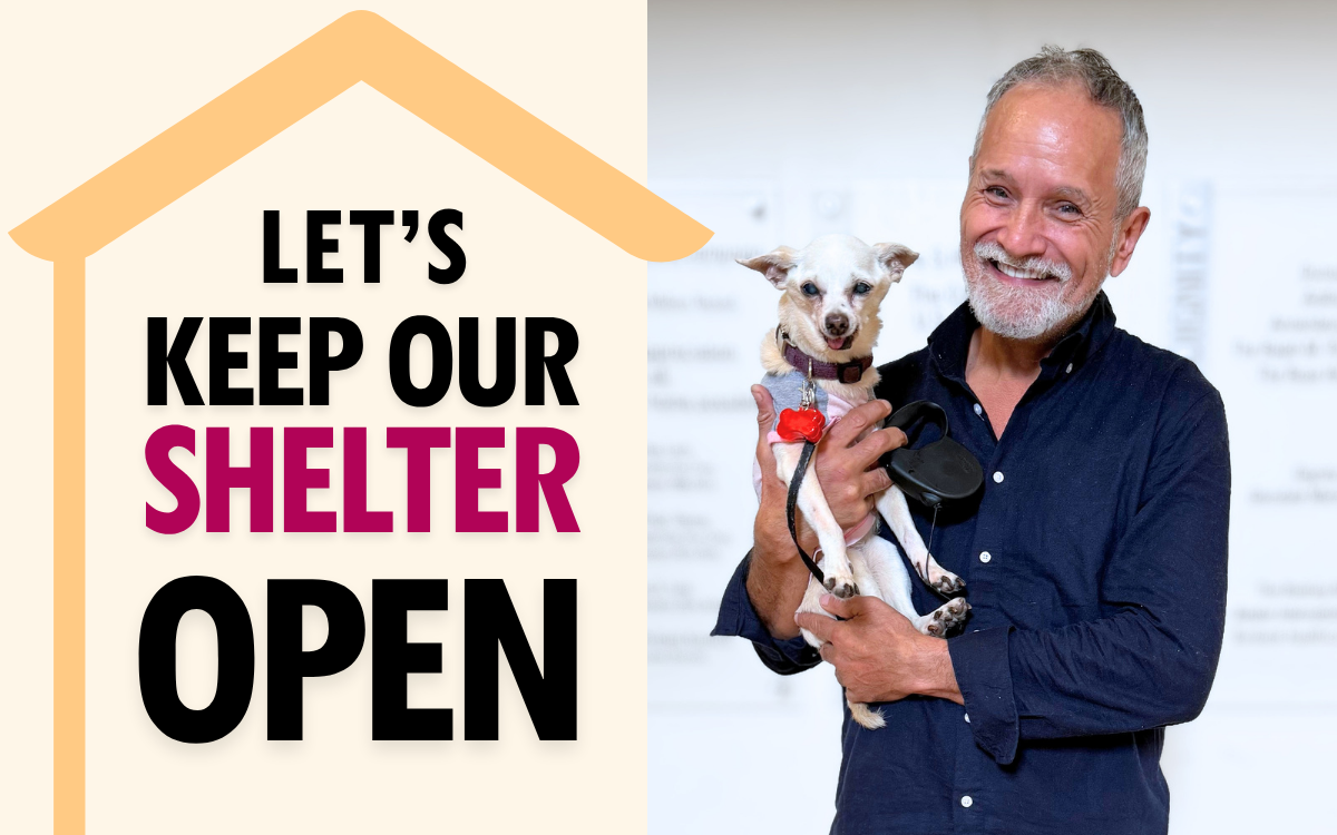 Let's Keep Our Shelter Open with Sal